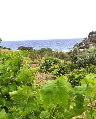 Votsalo House Moutsouna